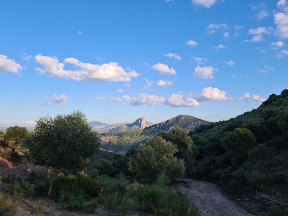 Готель Estacion De Coripe Екстер'єр фото
